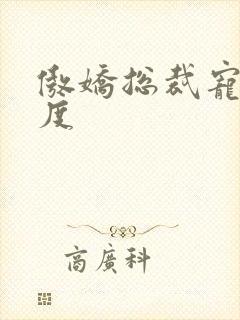 傲娇总裁宠妻无度