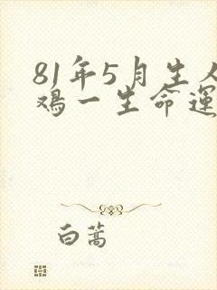 81年5月生人鸡一生命运