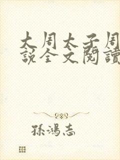 大周太子周铮小说全文阅读笔趣阁