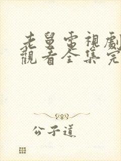 老舅电视剧免费观看全集完整版高清