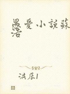 愚爱小说苏倩孙浩