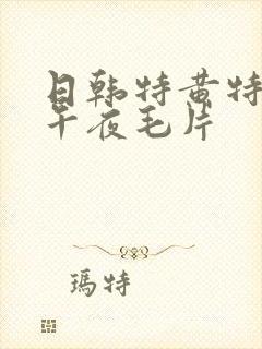 日韩特黄特刺激午夜毛片