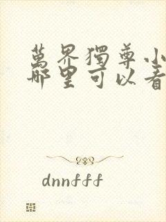 万界独尊小说在哪里可以看完整版