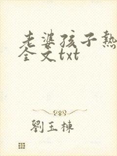 老婆孩子热炕头全文txt封面