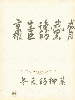 重生后,我成了权臣的黑月光