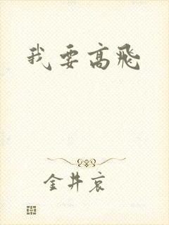 我要高飞封面
