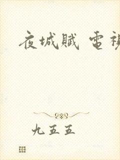 夜城赋 电视剧封面