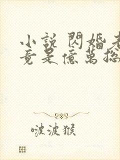 小说 闪婚老公竟是亿万总裁