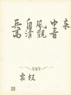 兵自风中来免费高清观看