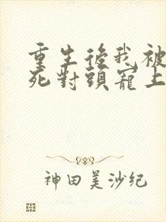 重生后我被渣男死对头宠上天短剧完结封面