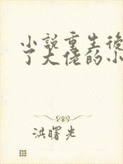 小说重生后我成了大佬的小心肝阅读