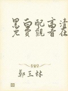 黑白配高清国语免费观看在线