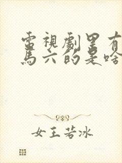 电视剧里有个叫马六的是啥电视剧