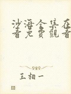 沙海全集在线观看免费观看完整版