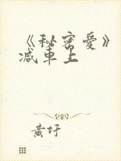 《秘密爱》未删减车上