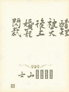 闪婚后被醋王总裁宠上天短剧