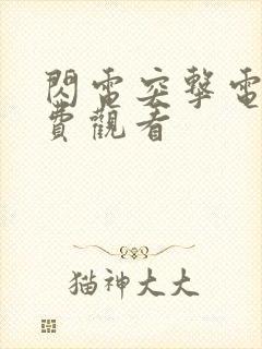 闪电突击电影免费观看