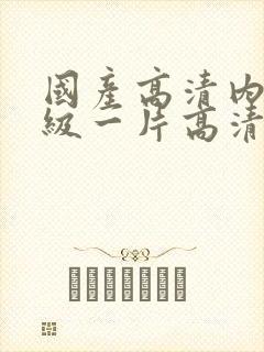 国产高清内射一级一片高清视频