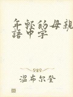 年轻的母亲3韩语中字