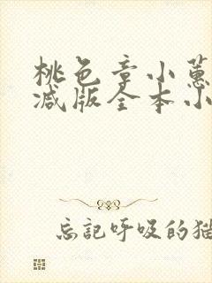 桃色章小蕙无删减版全本小说阅读封面