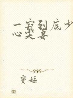 一宠到底少爷的心尖妻