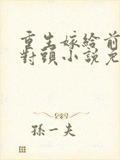 重生嫁给前夫死对头小说免费阅读