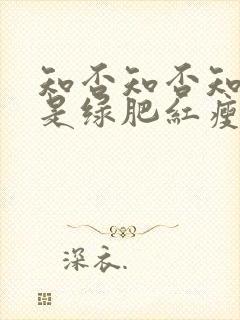 知否知否知否应是绿肥红瘦原著叫什么