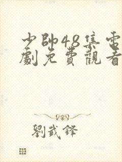 少帅48集电视剧免费观看高清