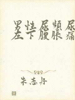 男性尿频尿不尽左下腹胀痛