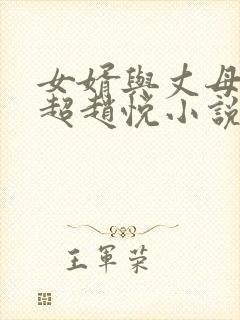 女婿与丈母娘陈超赵悦小说阅读