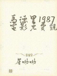 马德里1987电影免费观看封面