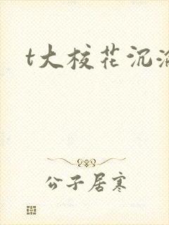 t大校花沉沦