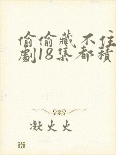 偷偷藏不住广播剧18集都积灰了封面