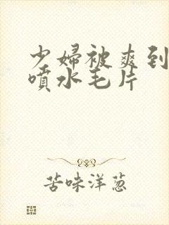 少妇被爽到高潮喷水毛片