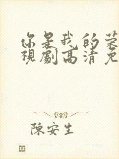 你是我的荣耀电视剧高清免费观看