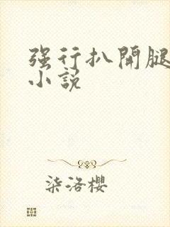 强行扒开腿狂揉小说