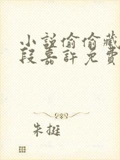 小说偷偷藏不住段嘉许免费阅读