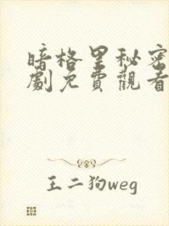 暗格里秘密电视剧免费观看