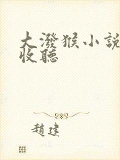 大泼猴小说在线收听