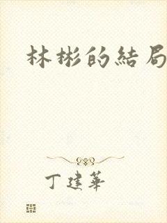 林彬的结局封面