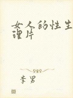 女人的性生活伦理片