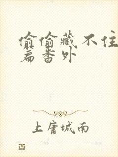 偷偷藏不住新婚篇番外