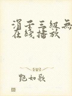 涓子三级无删减在线播放