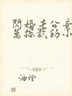 闪婚老公竟是亿万总裁的小说