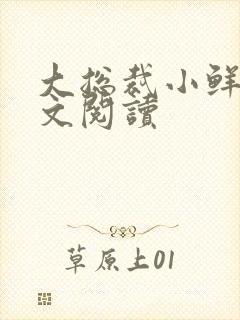 大总裁小鲜妻全文阅读