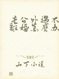 老公外遇不愿意离婚怎么办封面