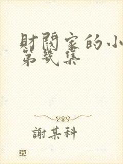 财阀家的小儿子第几集