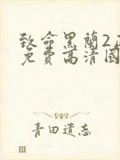 致命黑兰2正版免费高清国语版