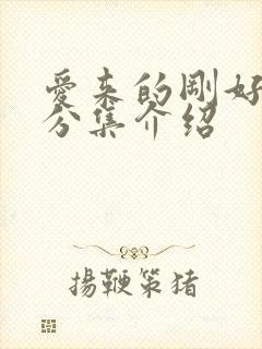 爱来的刚好剧情分集介绍封面