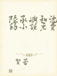 陆承屿和沈婉栖的小说免费阅读